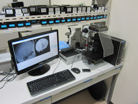 lab-kessho2.jpg